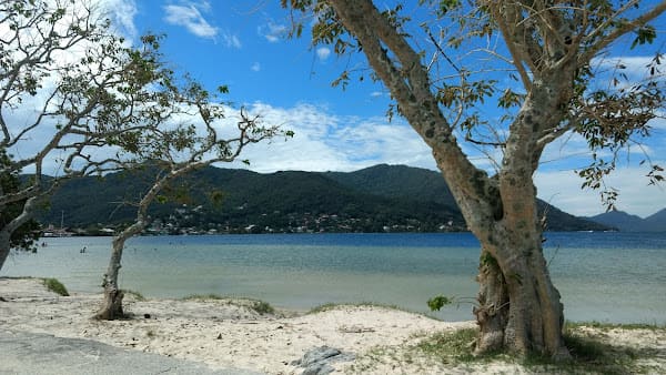 Casa de Noca, Música en vivo in lagoa da conceicao