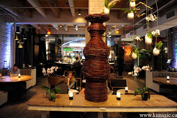 Brassaii, Toronto
