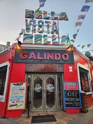 Galindo Bar in Lastarria-Barrio Italia, Santiago
