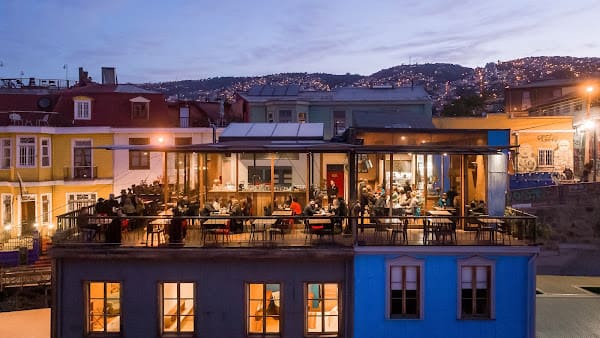 Fauna, Lounge in Cerro Alegre-Concepcion, Valparaiso