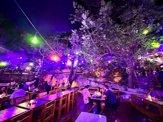 Six d.o.g.s Bar in Pireos, Athens