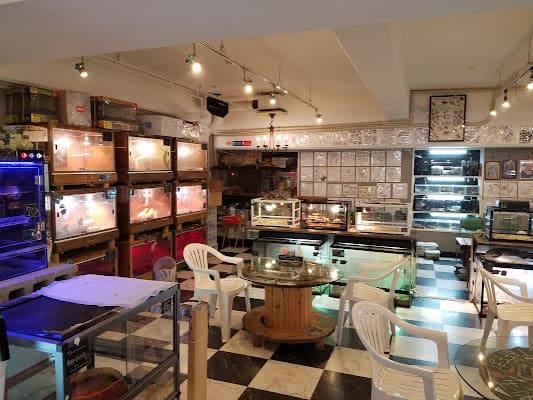 Bar Rockstar, Bar in shinsekai