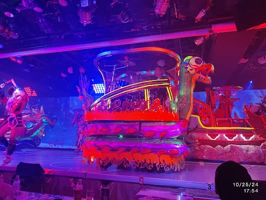 Robot Restaurant, Tokyo