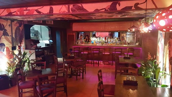 Jungle Bird, Lounge in la placita