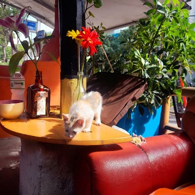 Heaven Bar Bar in An Thuong, Da Nang