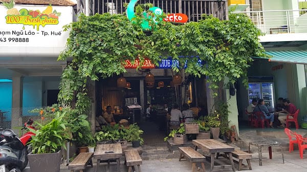 Gecko Pub Bar in DMZ Bar Street, Hue